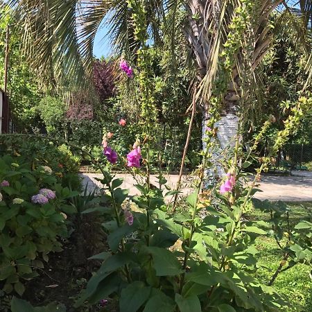Guest House Evkalipt 奥恰姆奇拉 外观 照片