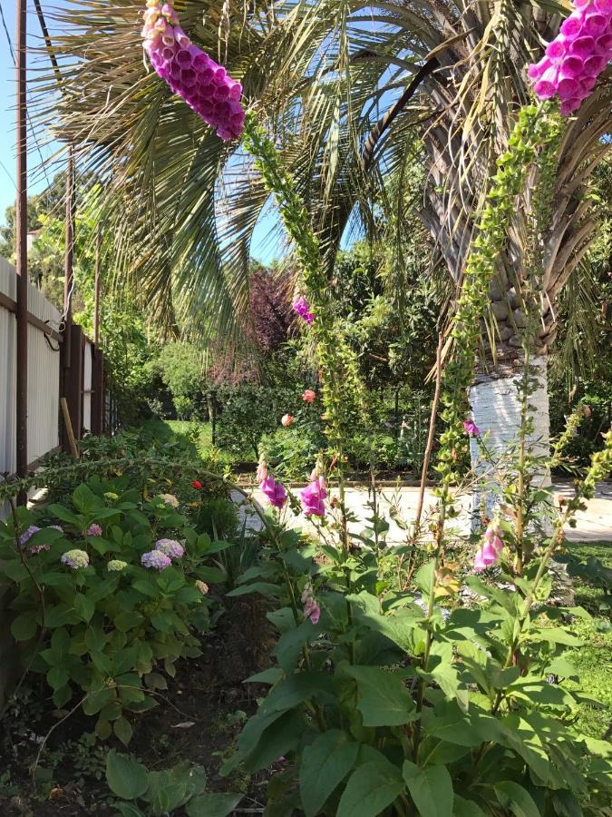 Guest House Evkalipt 奥恰姆奇拉 外观 照片