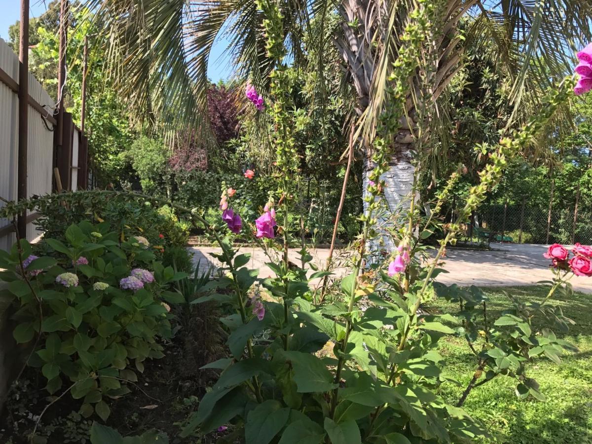 Guest House Evkalipt 奥恰姆奇拉 外观 照片